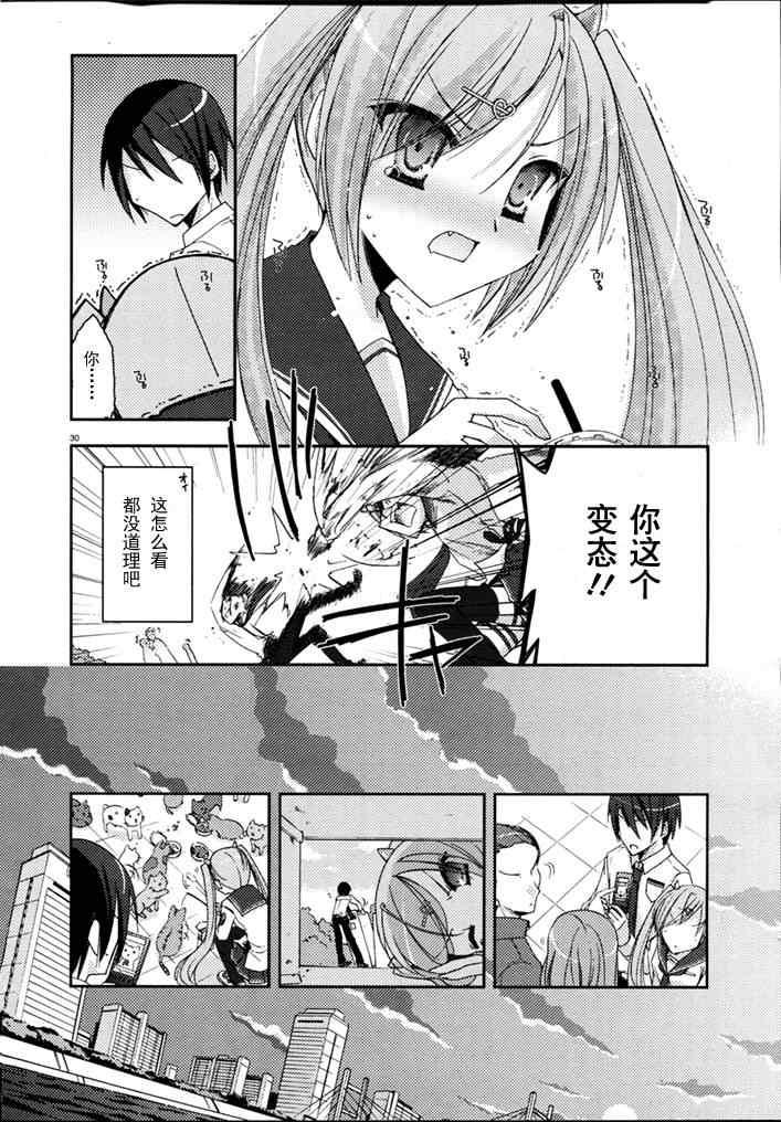 第 30 页