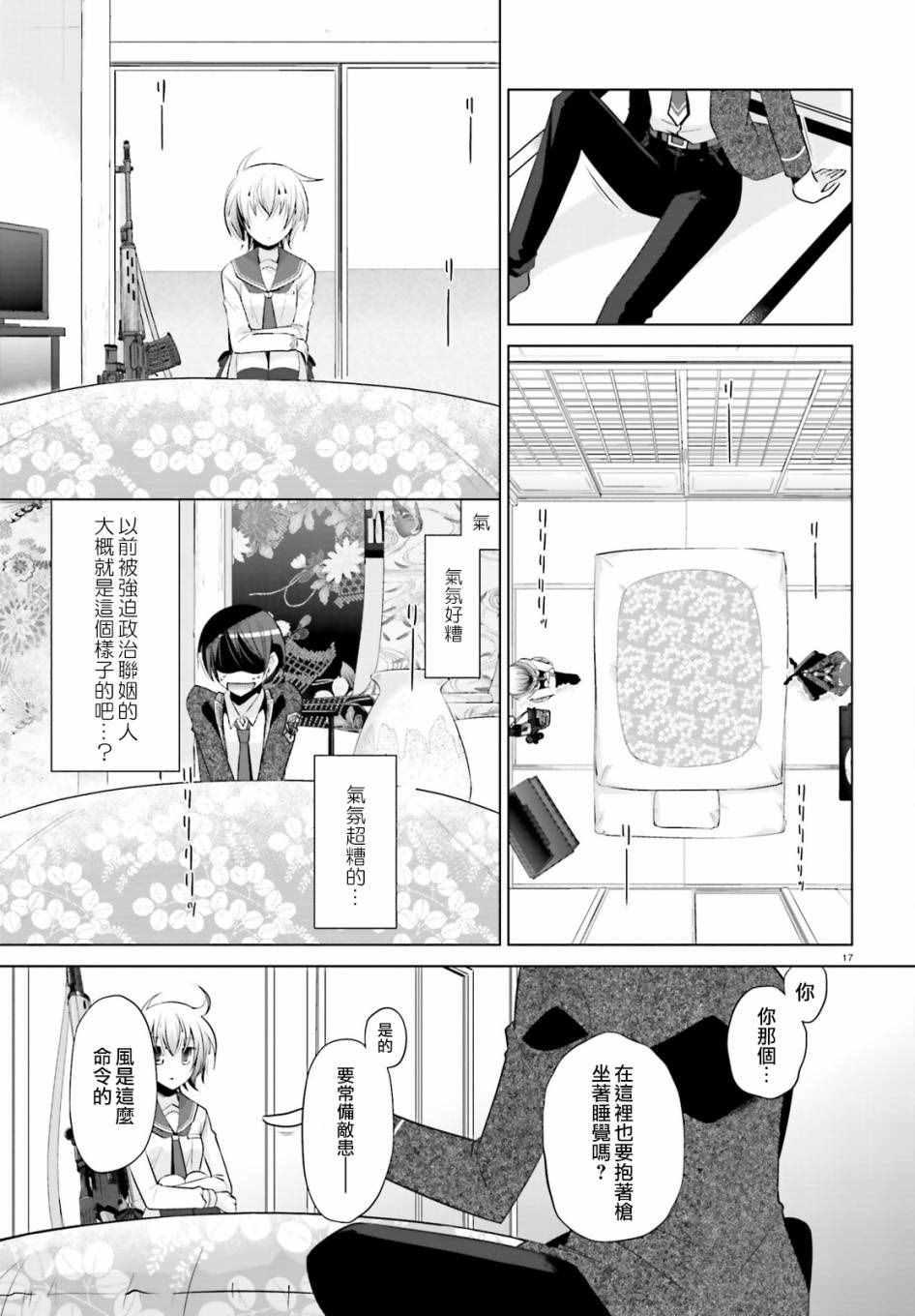 第 17 页