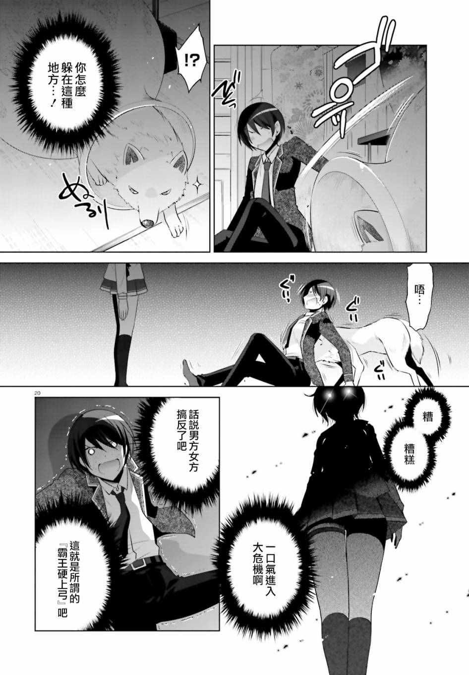第 20 页