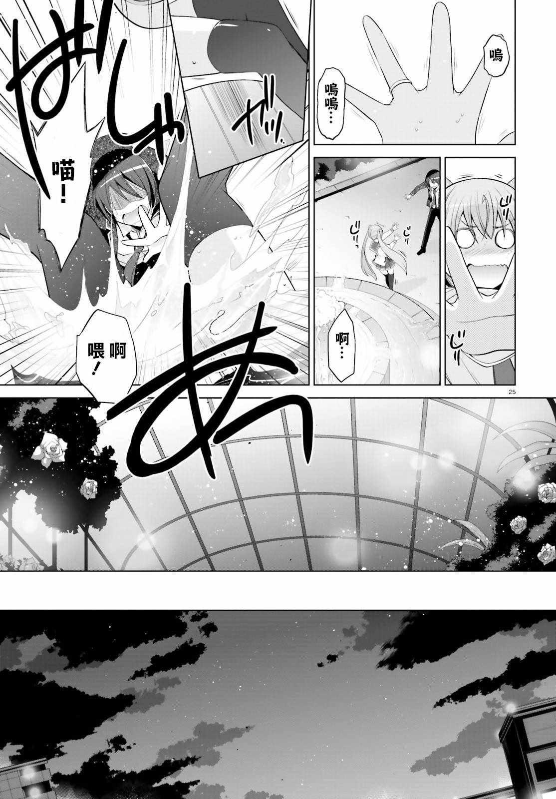 第 25 页