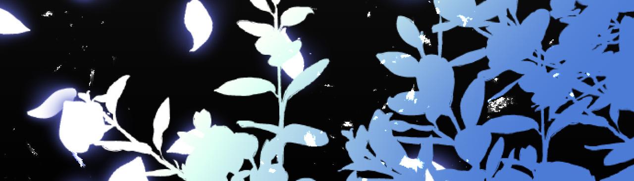第 43 页