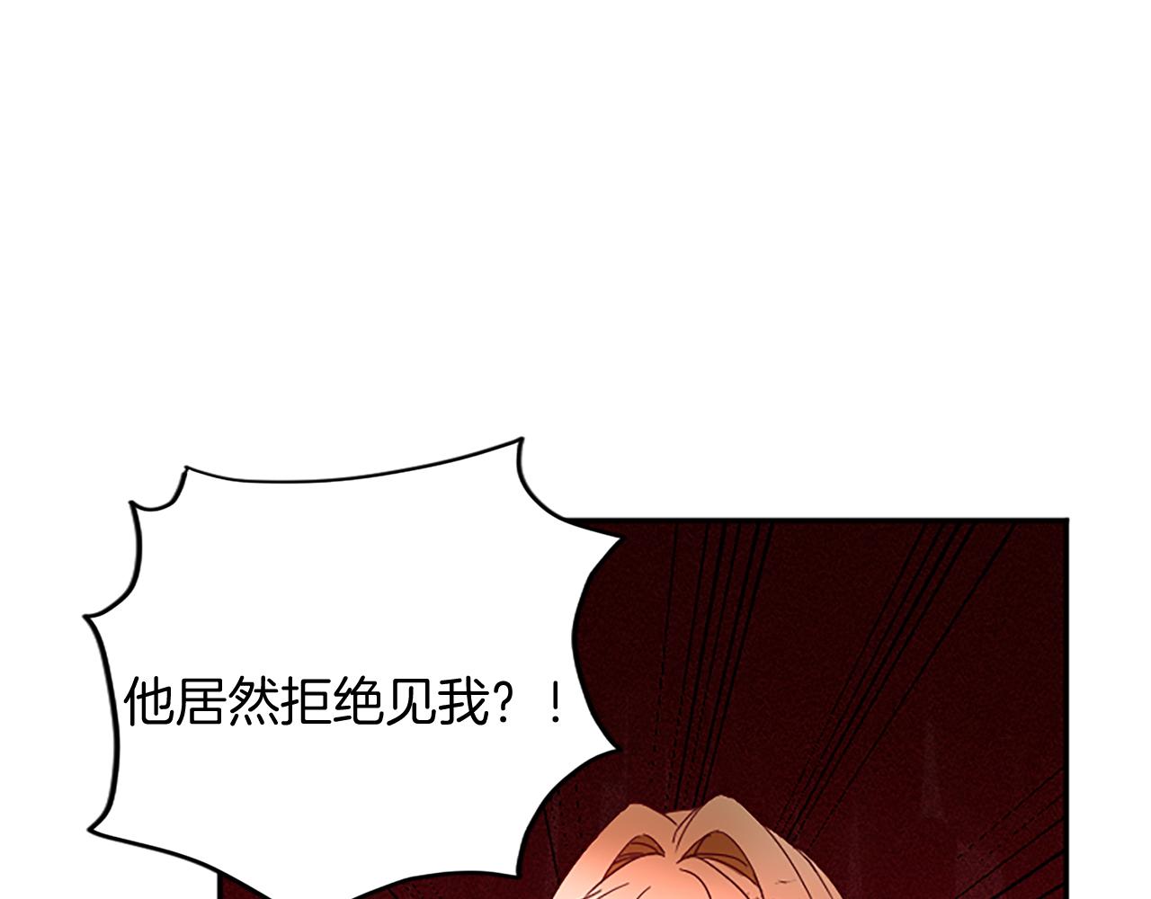 第 110 页