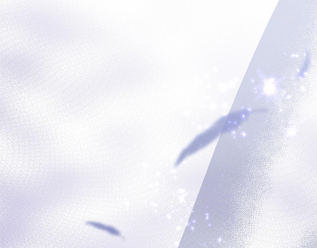 第 278 页