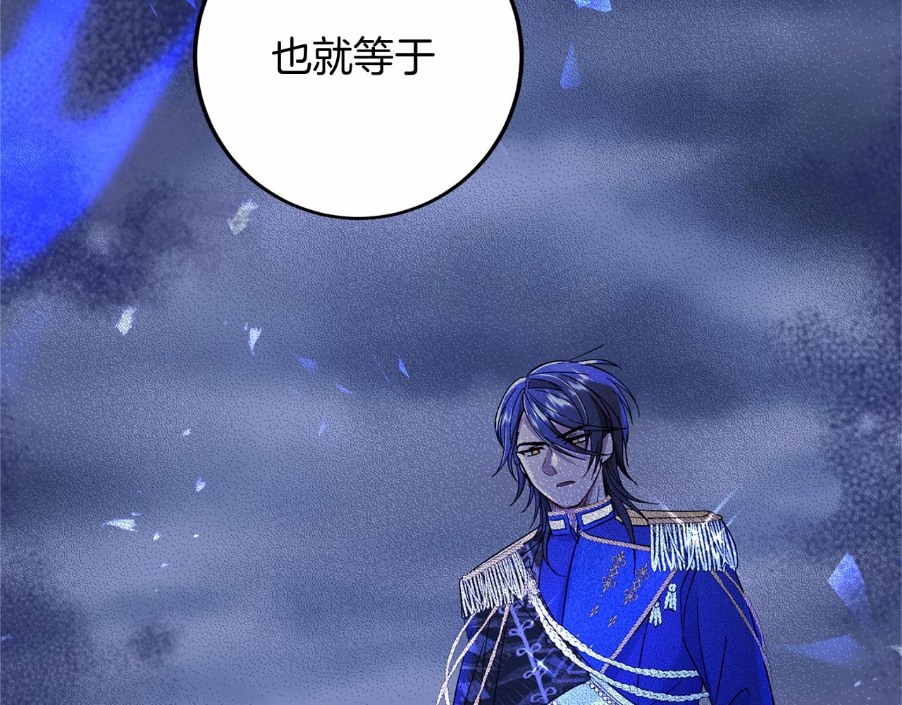 第 216 页