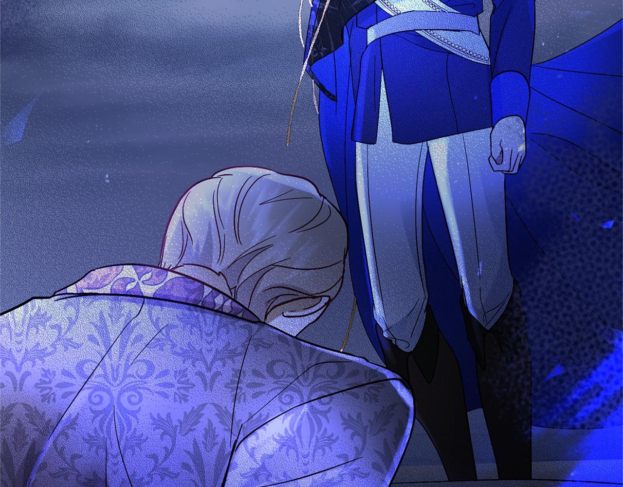 第 217 页