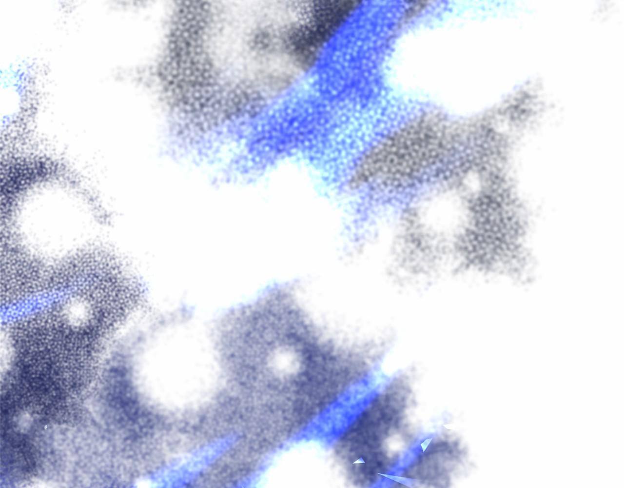 第 219 页