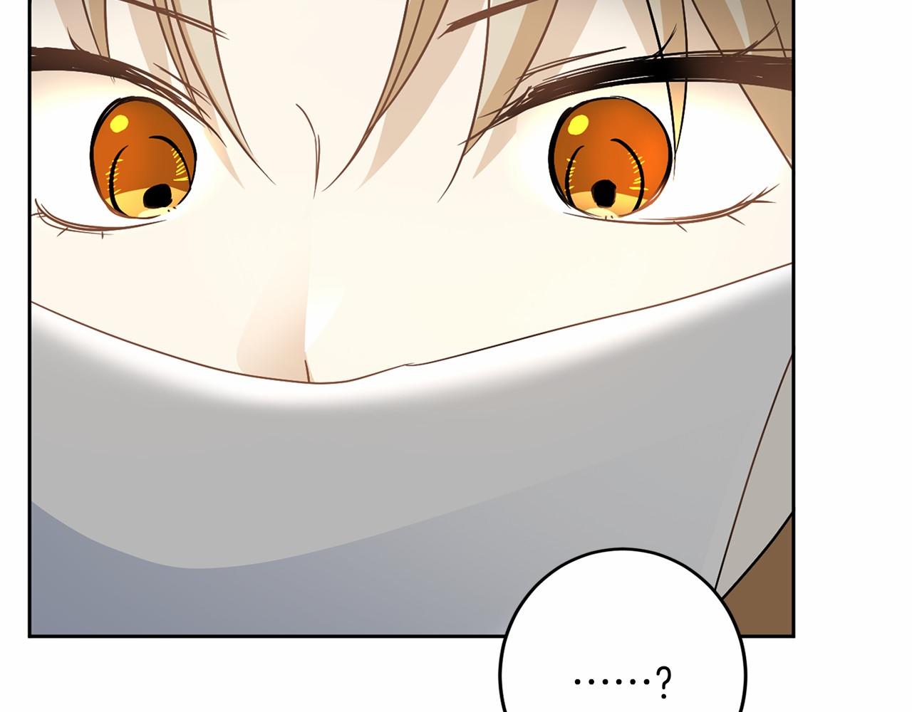 第 146 页