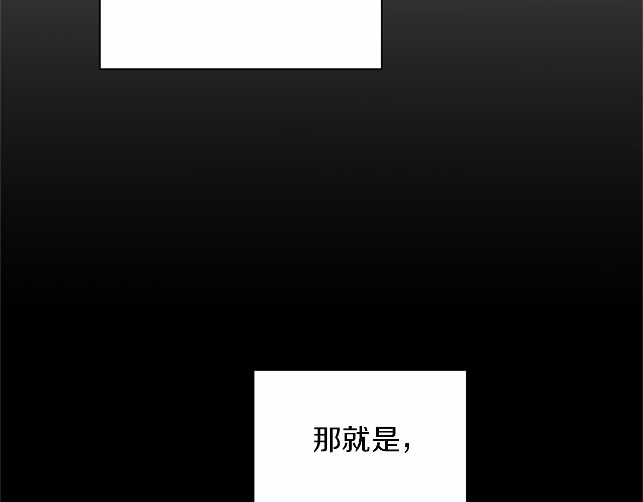 第 146 页