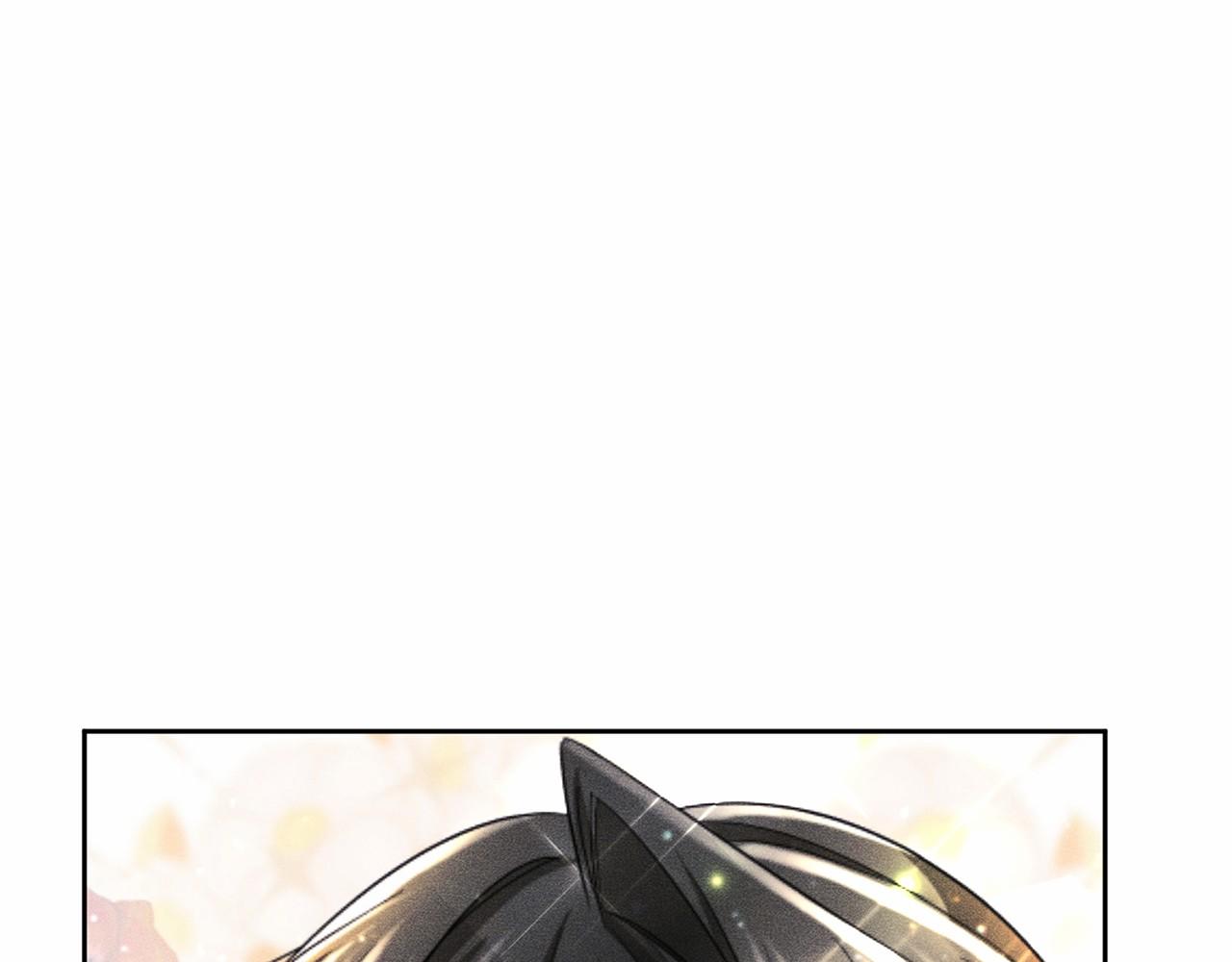 第 113 页