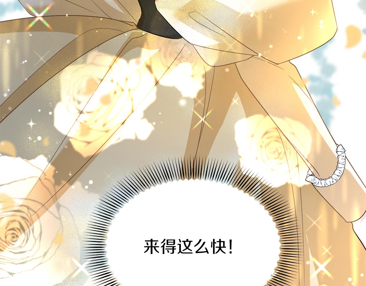 第 228 页