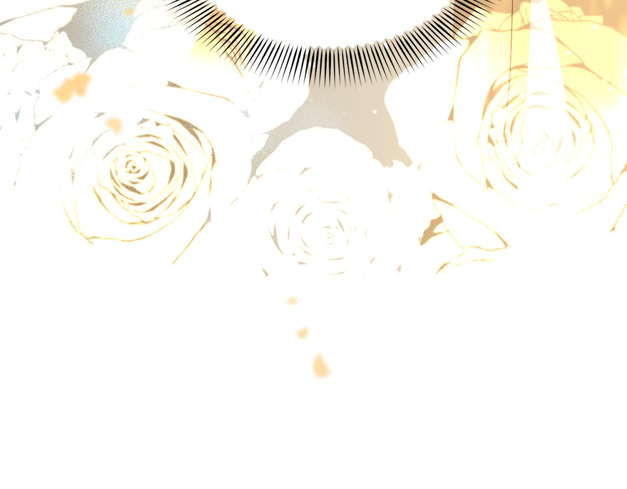 第 229 页