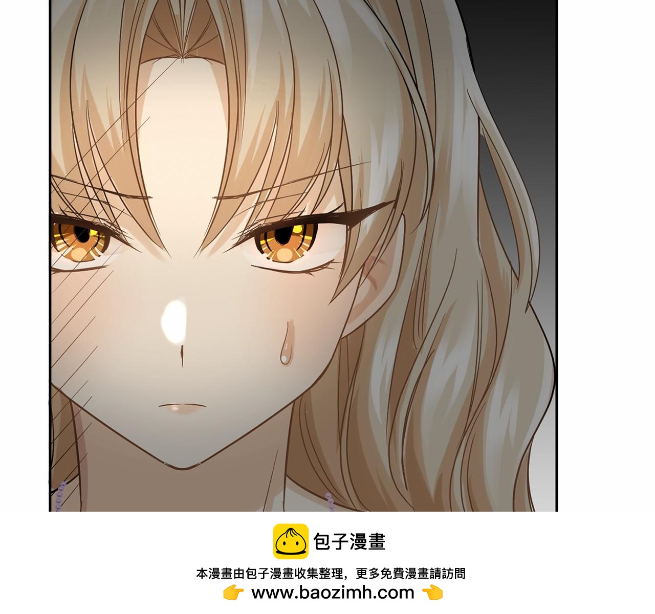 第 95 页