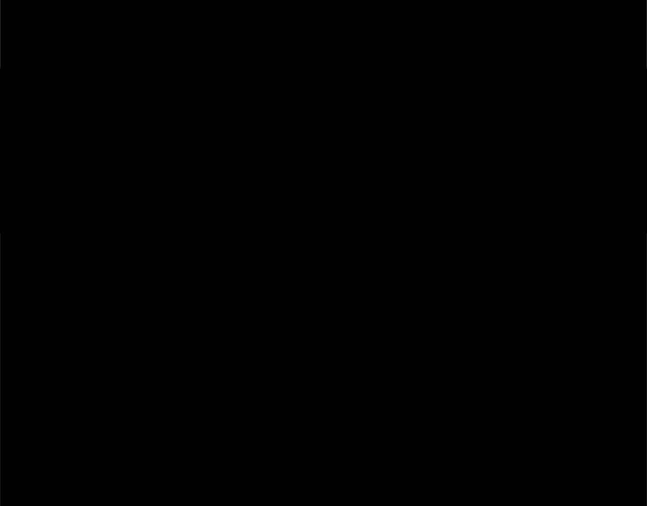 第 161 页