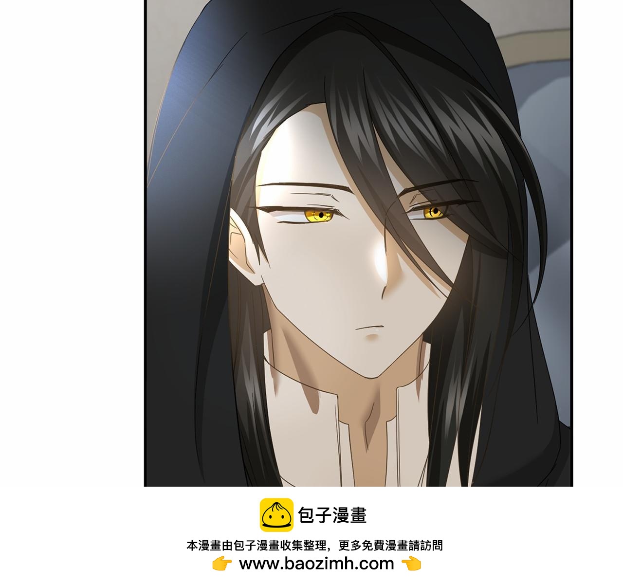 第 100 页