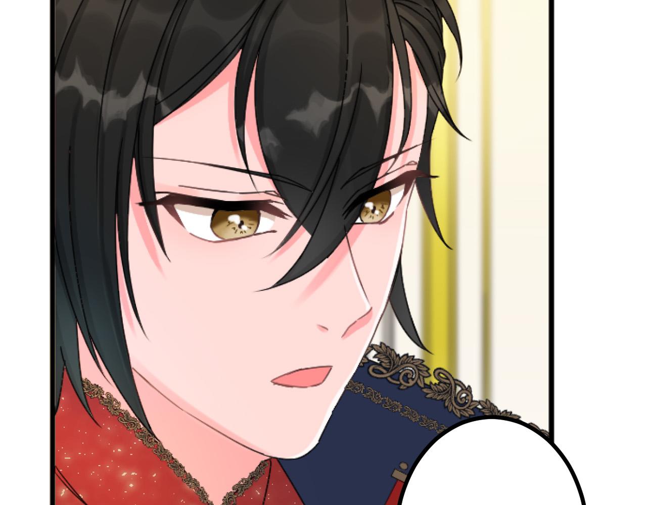 第 111 页