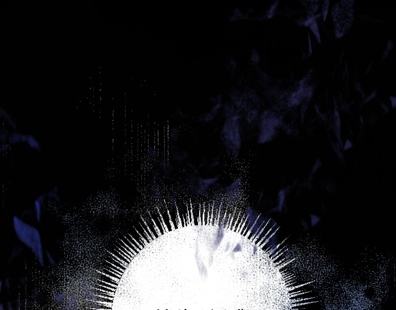 第 161 页