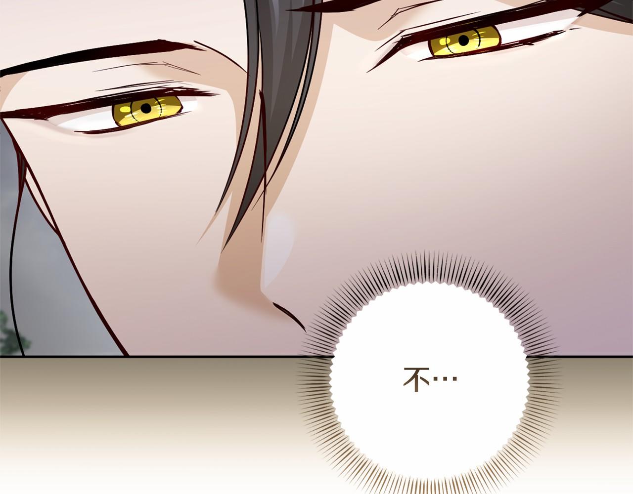第 102 页