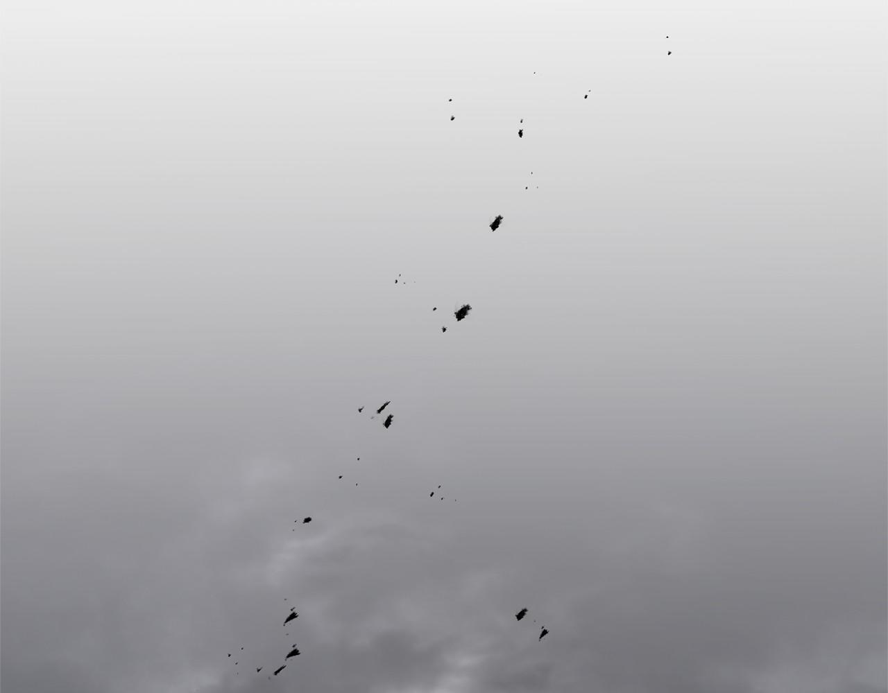 第 55 页