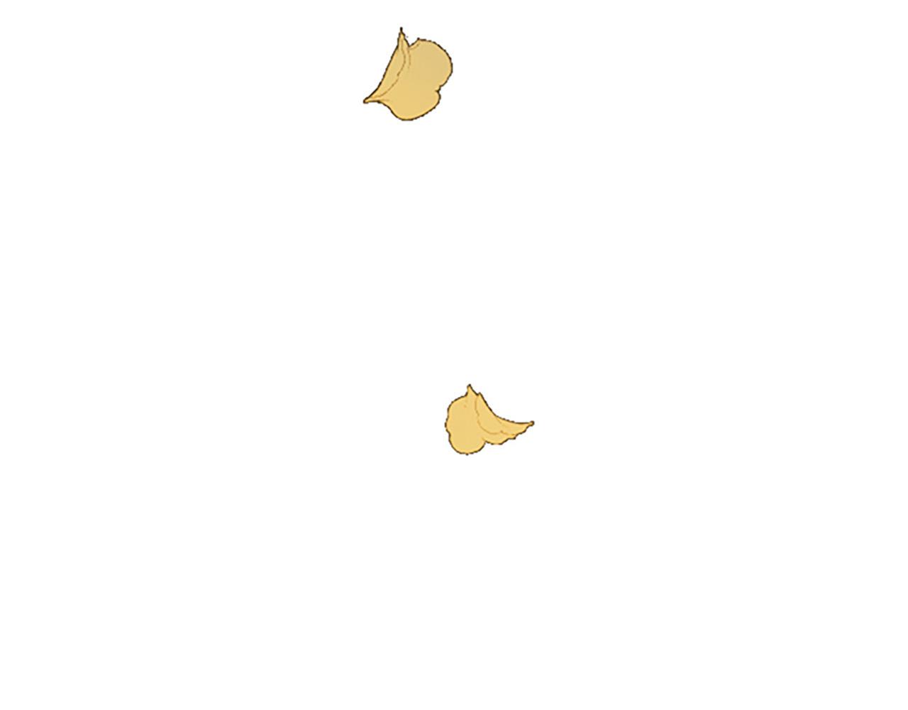 第 139 页