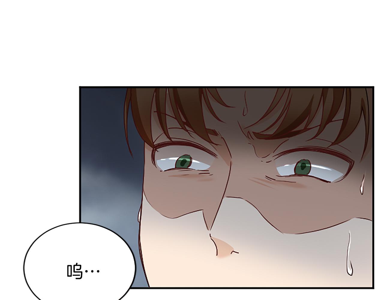 第 111 页