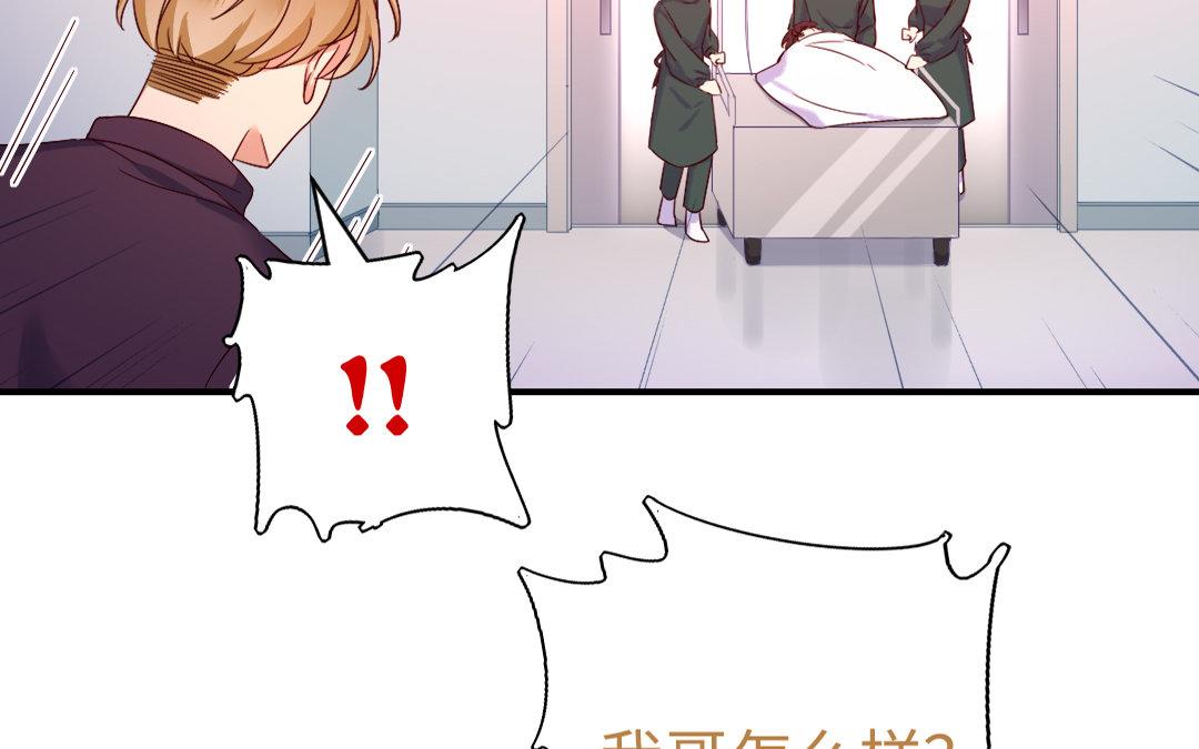 第 51 页