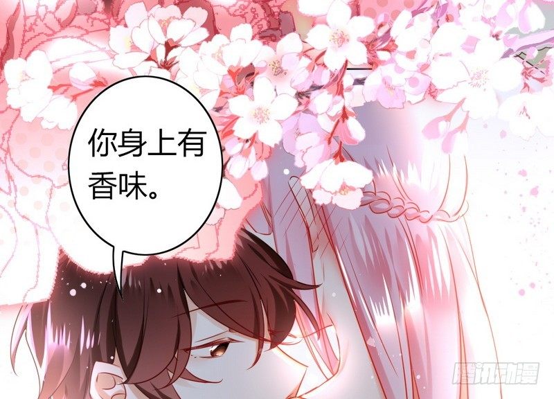 第 51 页