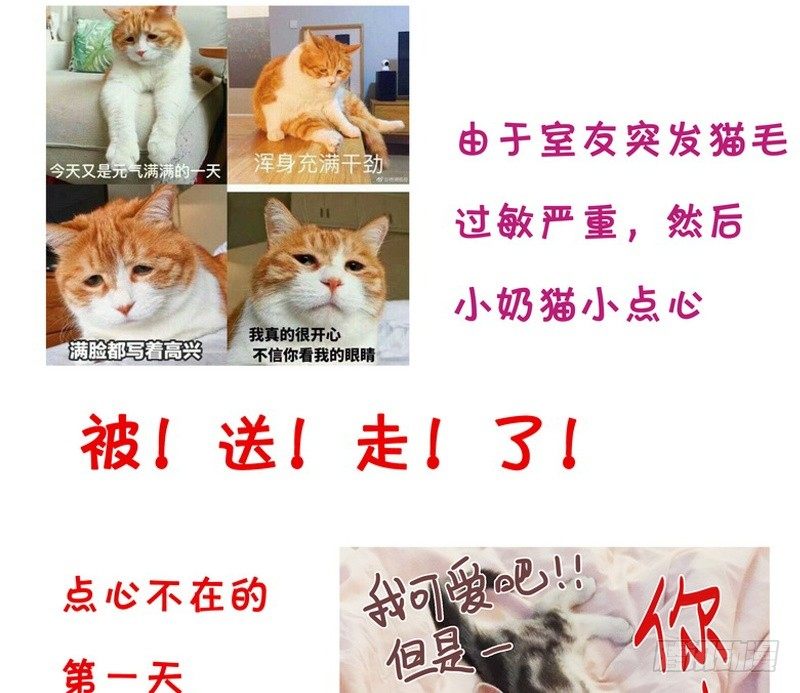 第 60 页