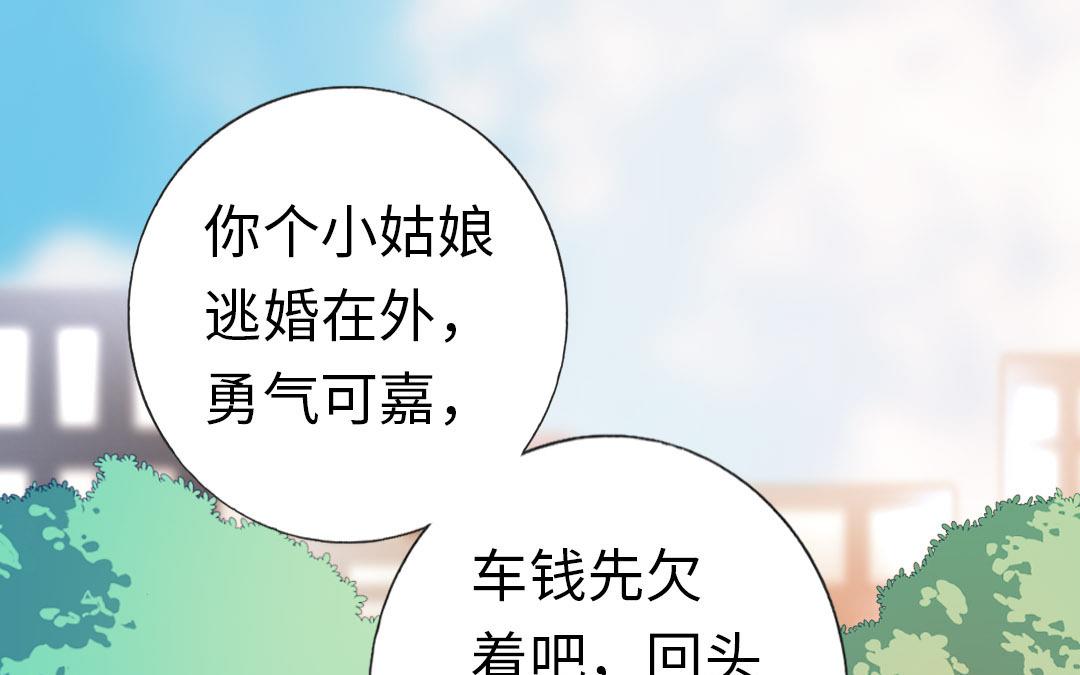 第 51 页