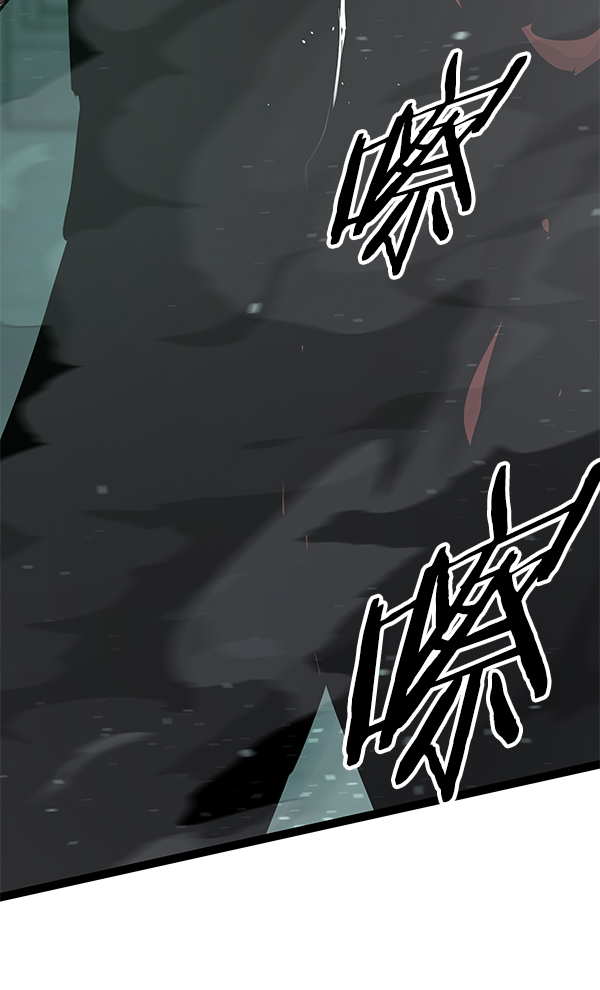 第 110 页