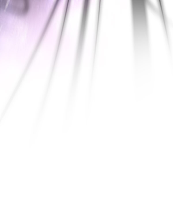 第 112 页
