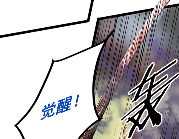 第 113 页