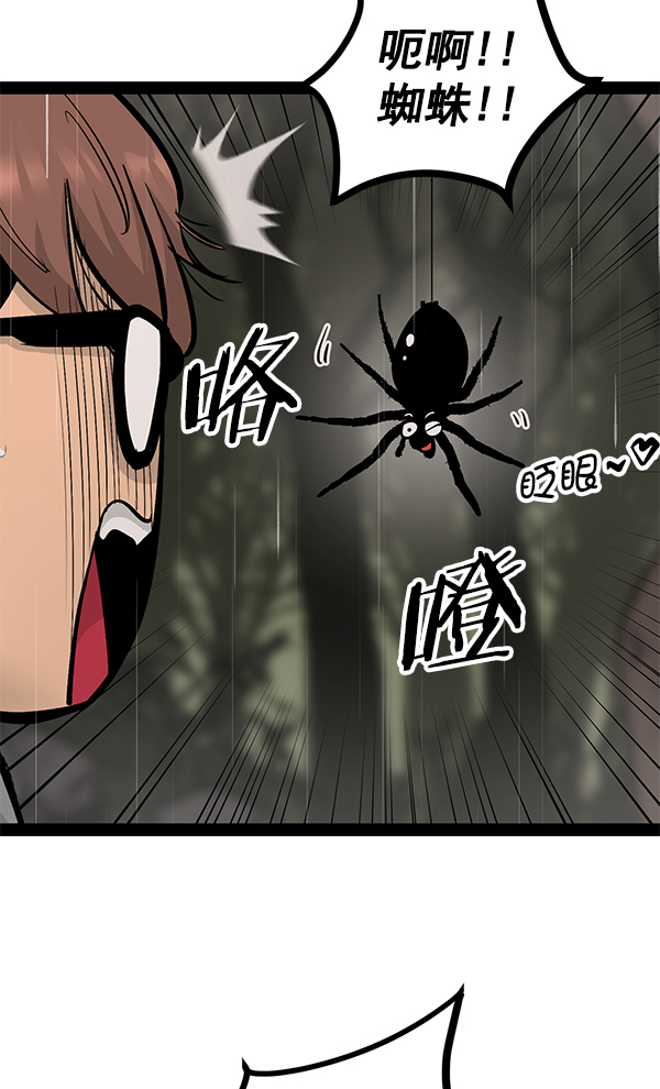 第 74 页