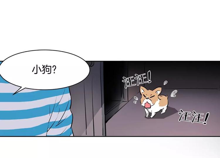第 46 页