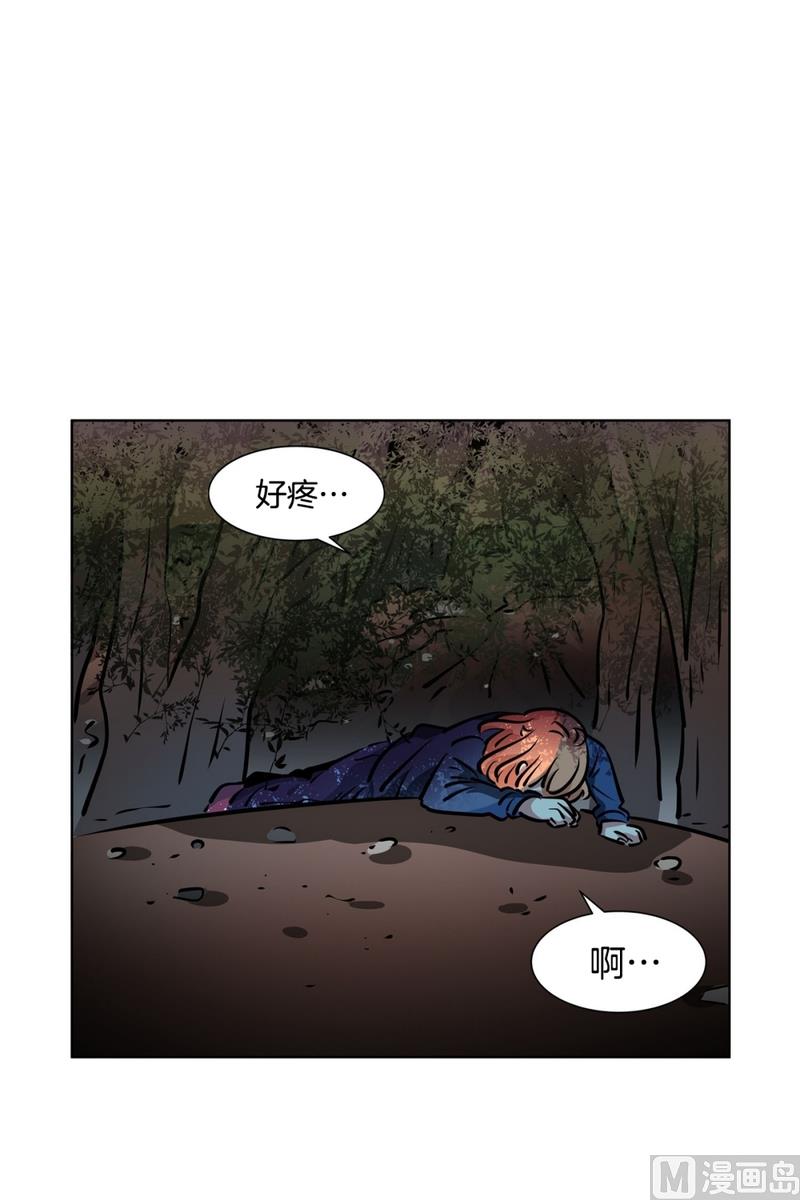 第 31 页