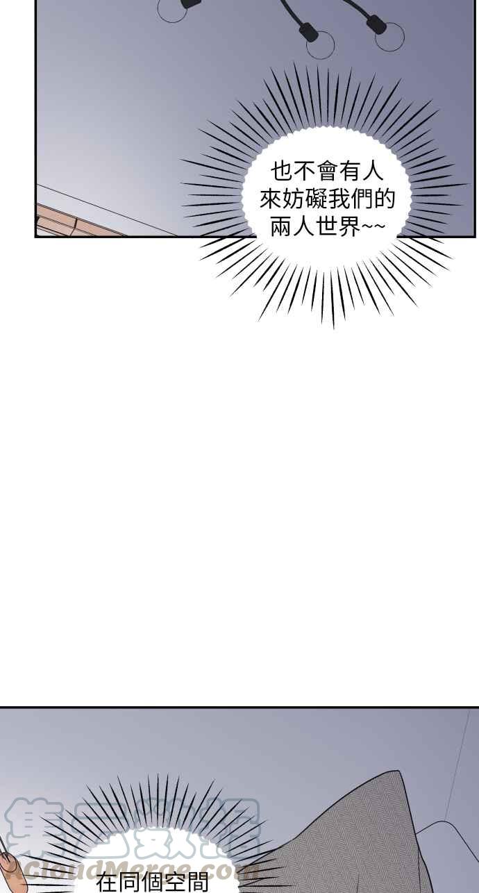 第 46 页