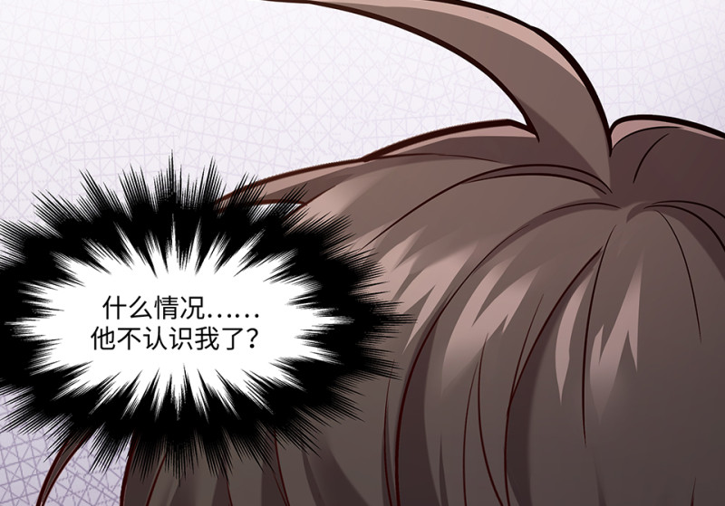 第 223 页