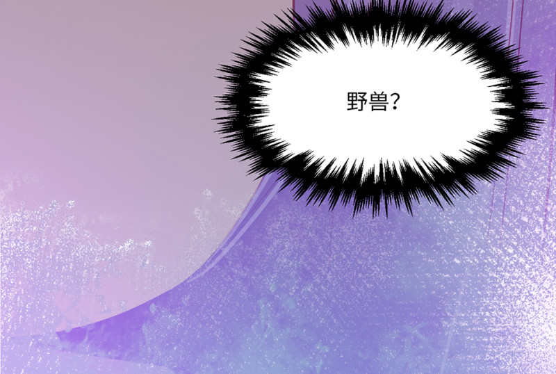 第 204 页