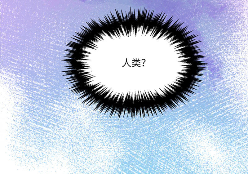 第 205 页