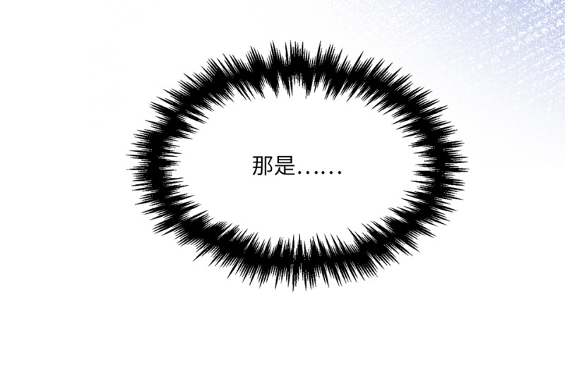 第 222 页