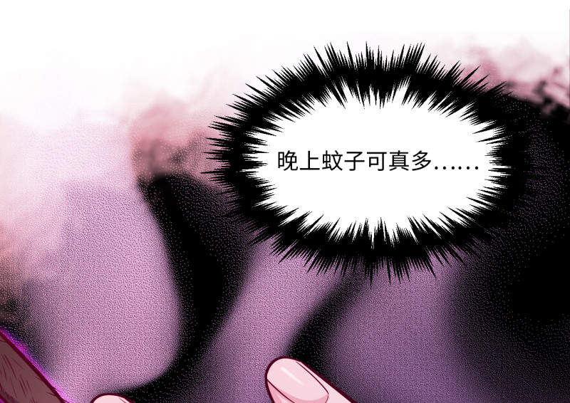 第 244 页
