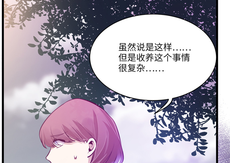 第 244 页