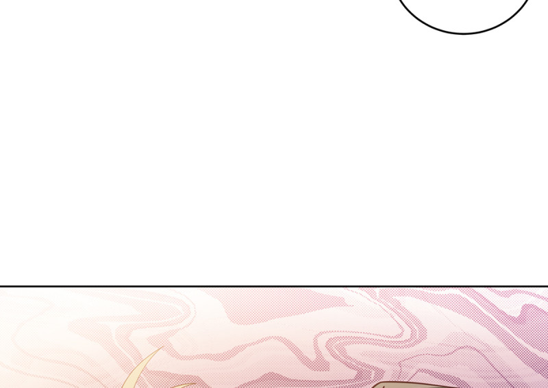 第 242 页