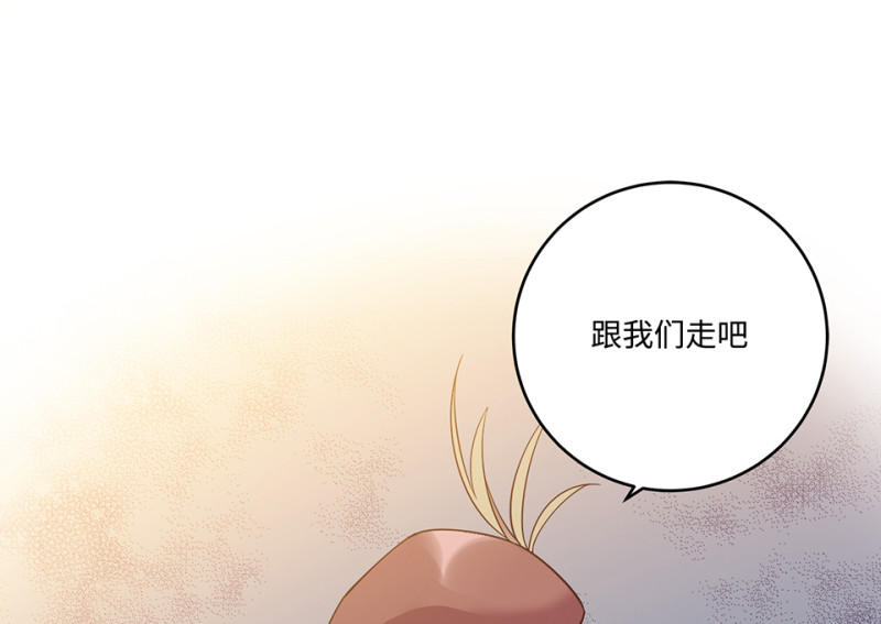 第 272 页