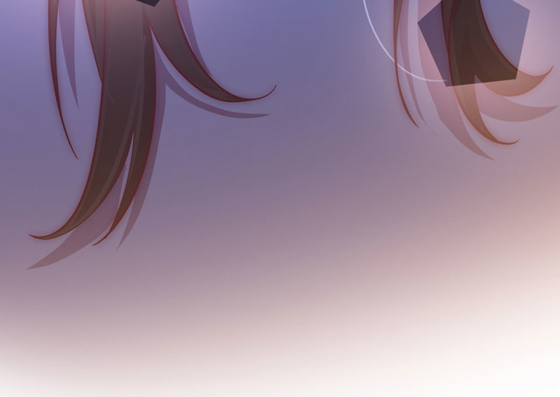 第 219 页