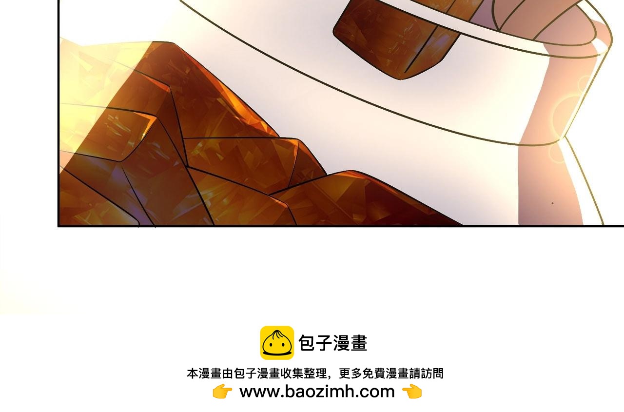 第 100 页