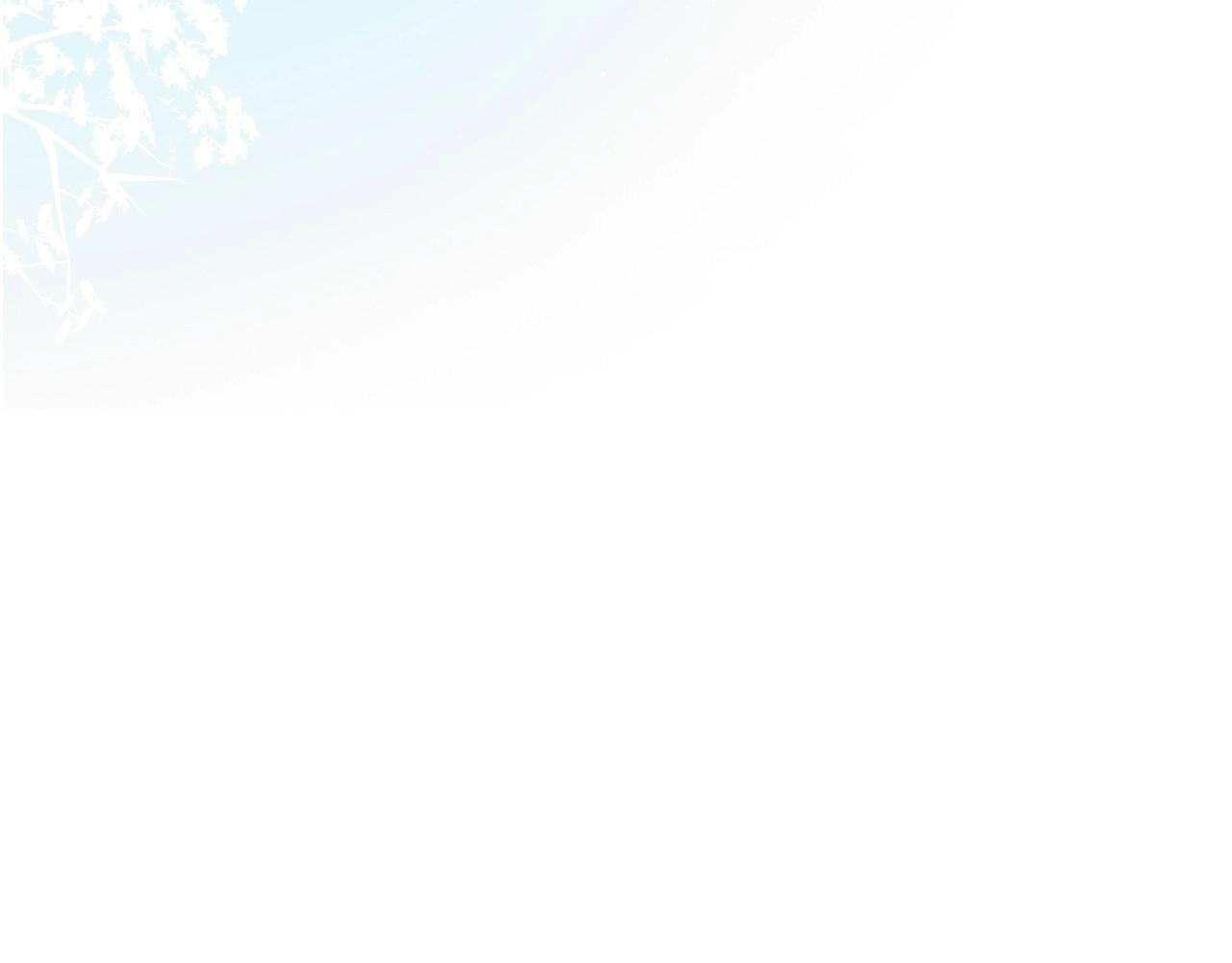第 136 页
