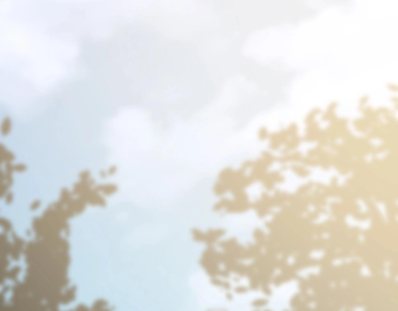 第 117 页