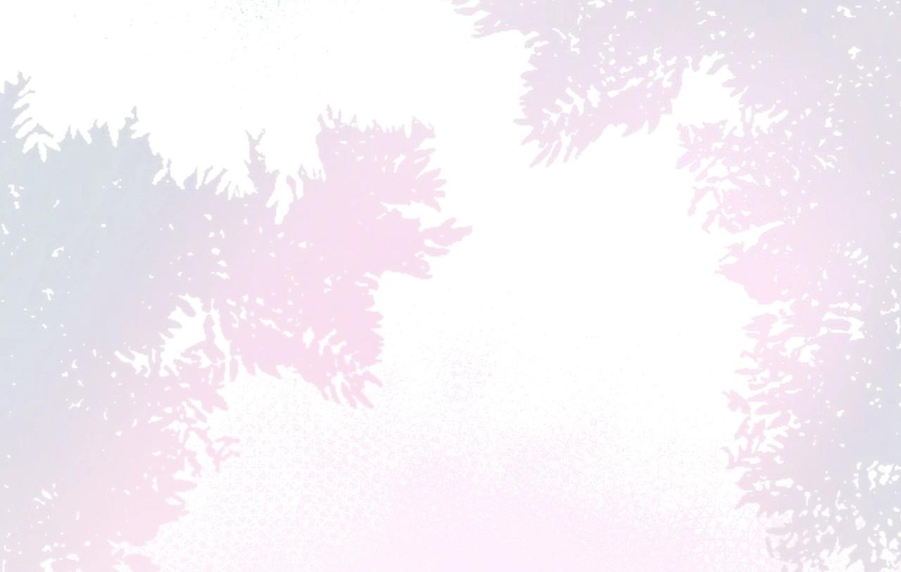 第 127 页