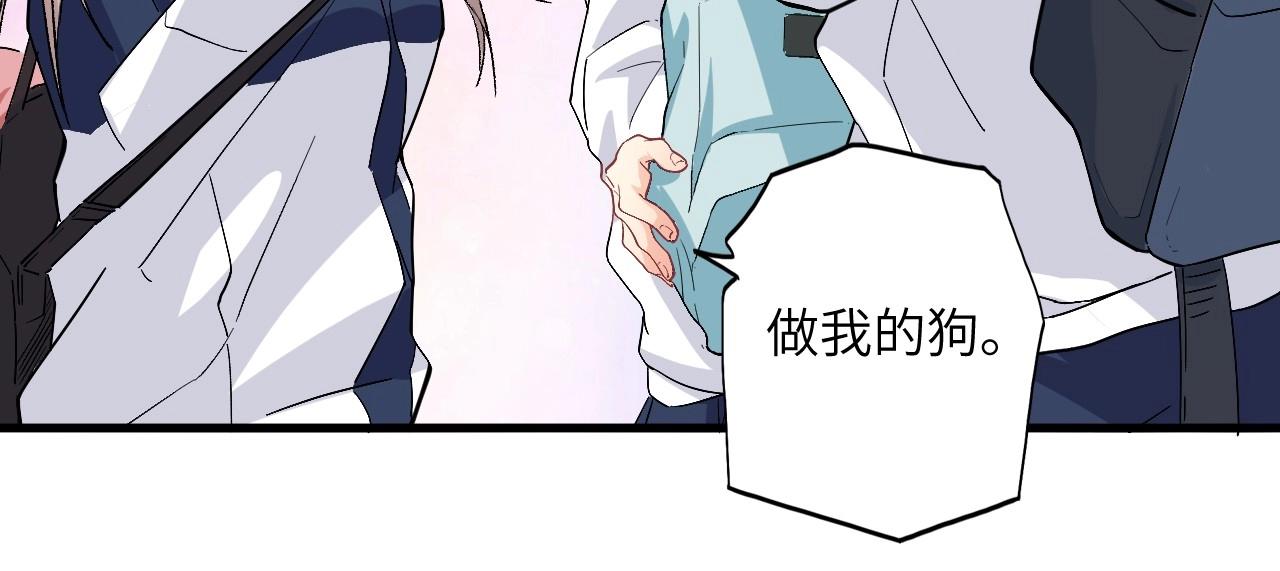 第 119 页