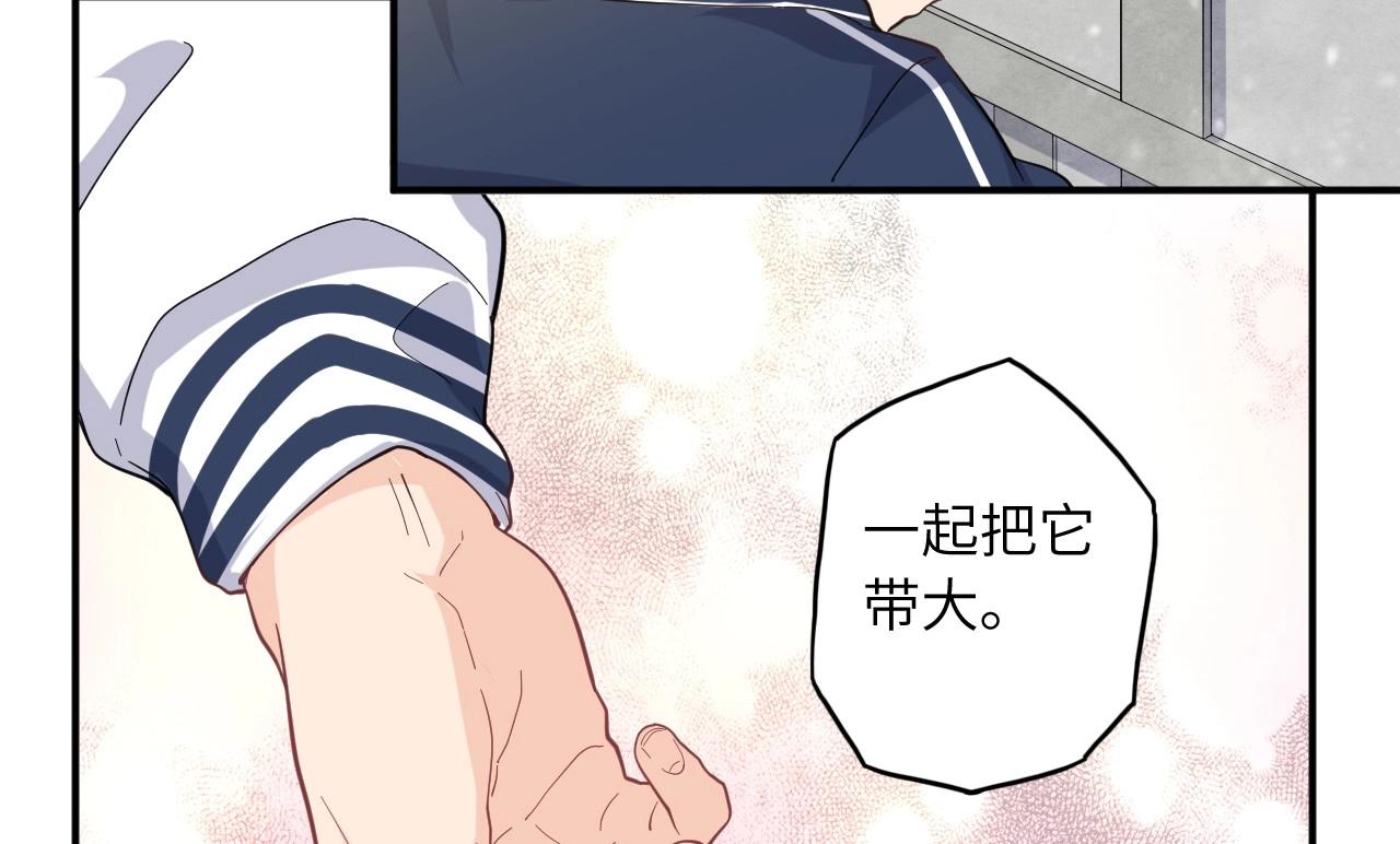 第 109 页